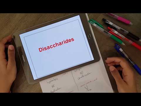 Bio1-2:Disaccharides