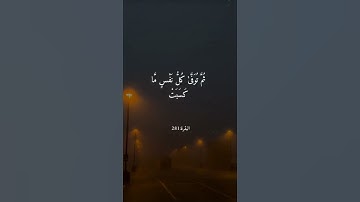﴿ وَاتَّقُوا يَوْمًا تُرْجَعُونَ فِيهِ إِلَى اللَّهِ ۖ ) القارئ عبد الباسط