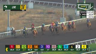 Vidéo de la course PMU PREMIO BROLS