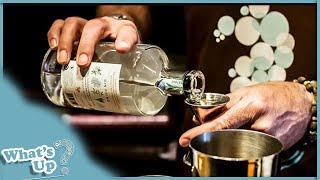 Gin: A Journey Through History, Cocktails, and Cultural Significance