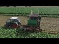 Zuckerrüben | Stoll V202 | Ernte 2017 | Fendt Favorit 509C | GoPro | DJI | Cabview | HD