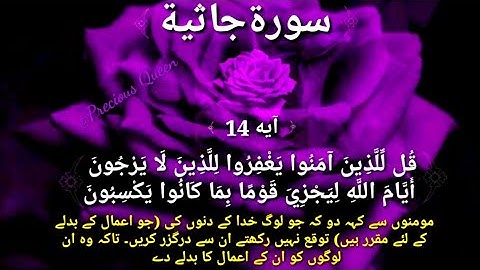 Surah Al-Jathiya سورة الجاثية آية )15-14)