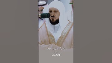 #صباح_الخير #صباح_الورد #ماهر_المعيقلي #تلاوة_خاشعة #صلوا_على_النبي #يوم_الجمعة #جمعة_مباركة #السعود