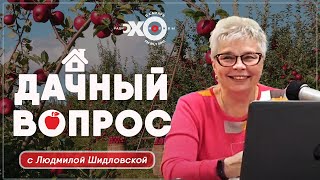 Дачный вопрос / Ведущая Людмила Шидловская / 18.11.2020