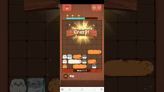 Haru Cats Slides Puzzle - Solution Golden Box Level 19 - 3 Stars (by Claudia Avila)