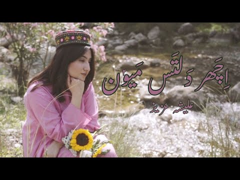 Ichar Daltas Mayoun Peecha Peechao Alisha Aziz