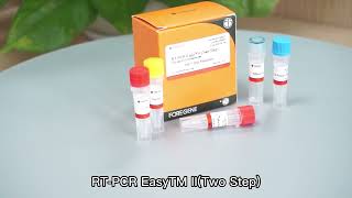 Rt Pcr Easy Iitwo Step Master Premix
