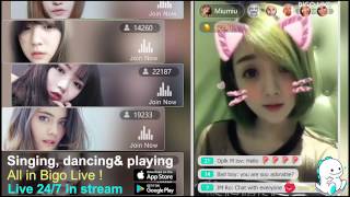 Live 247 In Stream. All In Bigo Live