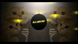 DJ ELEVATE X DUSK TILL DAWN x MUSHUP TIKTOK REMIX 2023 @( DJ JER PH REMIX )