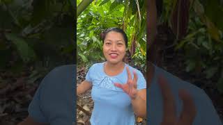 En el cogollo le pongo la sal