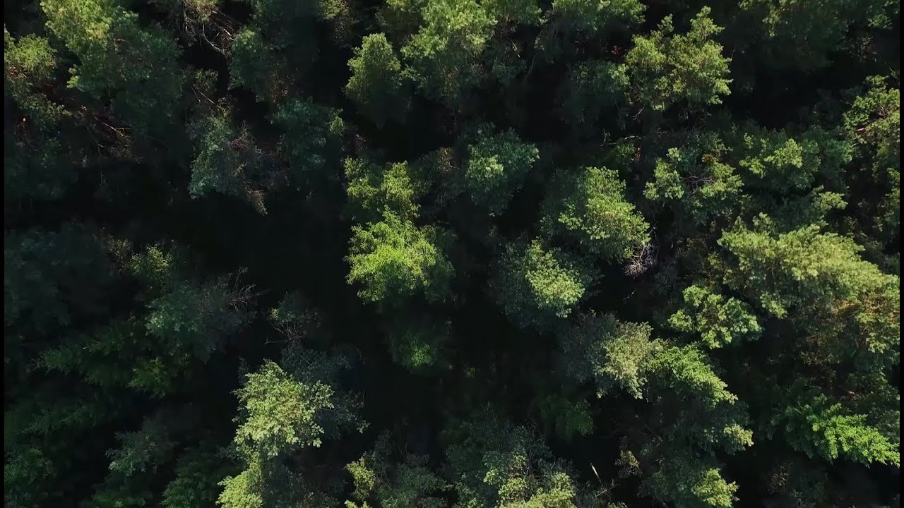 The Copenhagen Bioscience Cluster