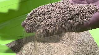 Ajwain cleaning machine | Punjab engineering Indore 9425320160