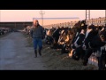 Dairy Safety Training Video Series Introduction to Part I