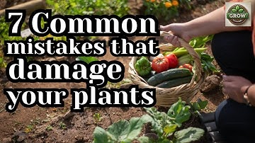 7 Gardening Mistakes You’re Making RIGHT NOW!