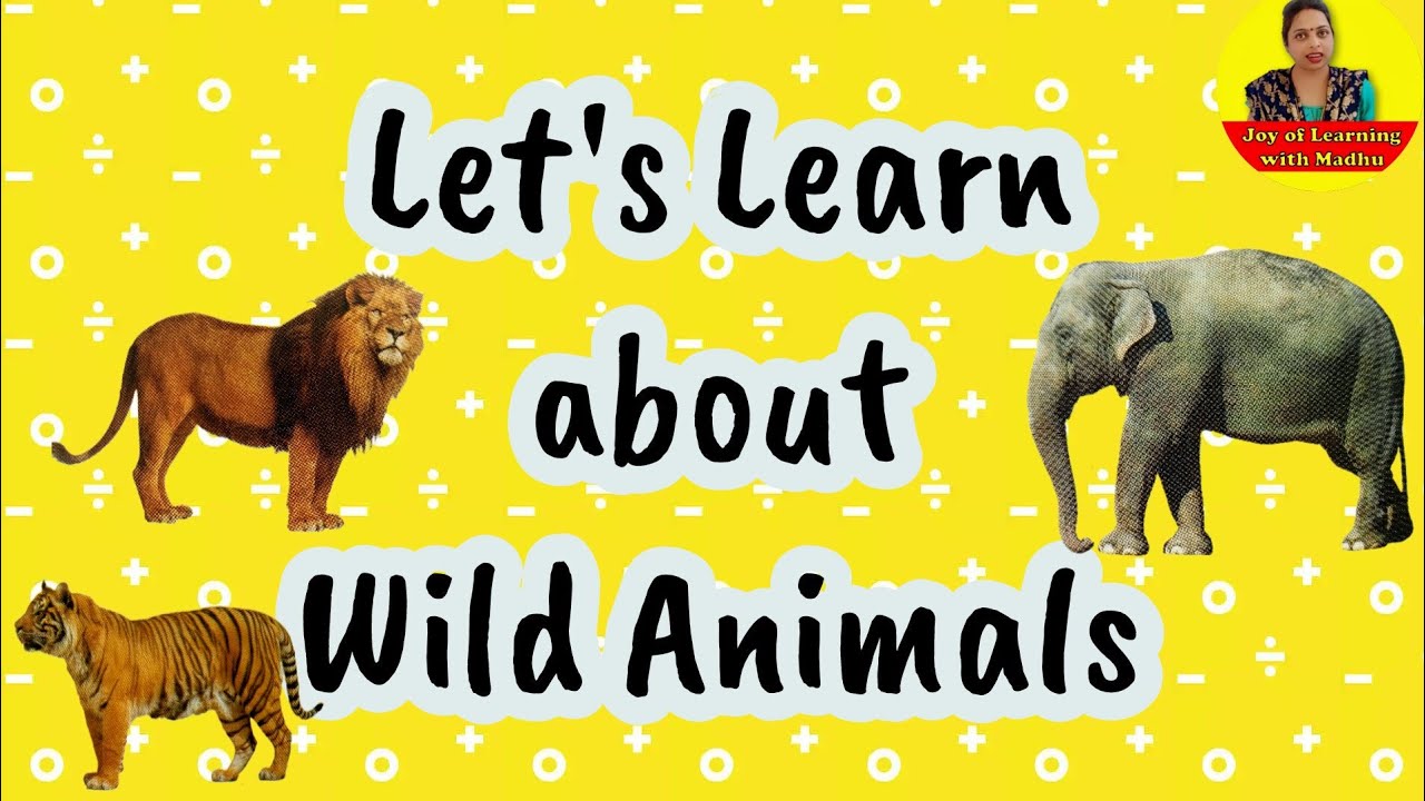 Let's Learn About Wild Animals/ @joyoflearningwithmadhu7021 - YouTube
