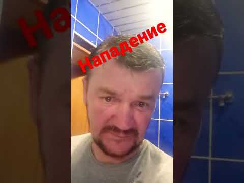 Нападение бультерьера на человека!!!