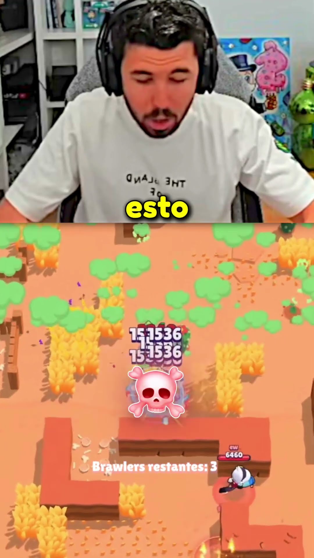 Maxeo a LEON ?