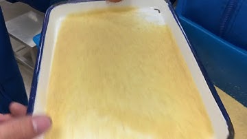 MEYER Sooji Color Sorter