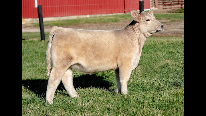 Mears Family Monopoly X ChAR  SANDRA DEE DONOR