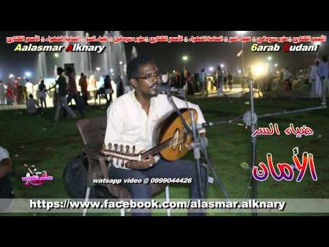 ضياء السر الأمان