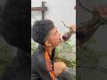 Những clip triệu view quả mận hà Giang p100 #funny #trending #asmr