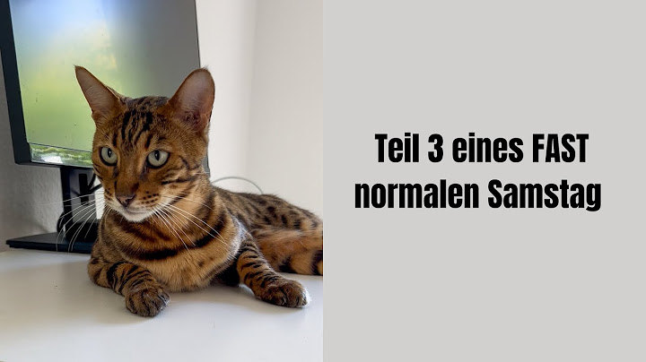 I'm looking forward to your answers to Benni's question #catsonyoutube #cats #bengalcat #cat