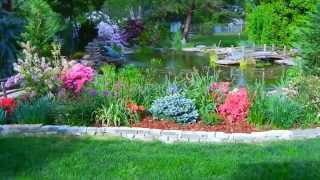 backyard fish pond with bridge.