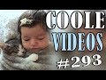 Coole Videos #293 || ✪ Stern DuTube