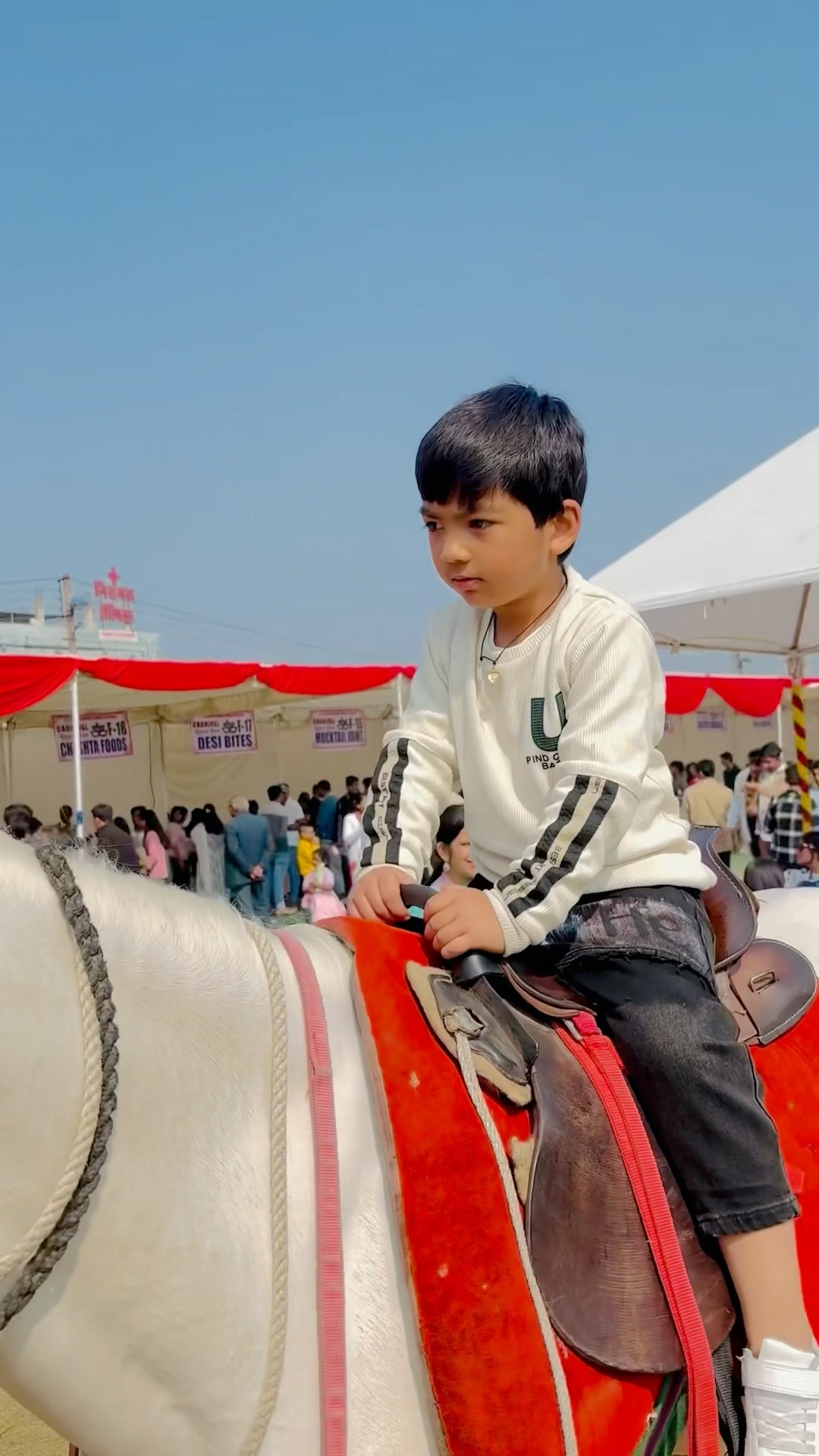 horse ? riding karni h ?