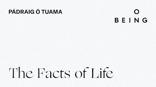 “The Facts of Life” — written and read by Pádraig Ó Tuama