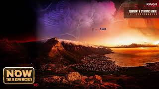 Deliriant Dynamic Range - The Visionaries