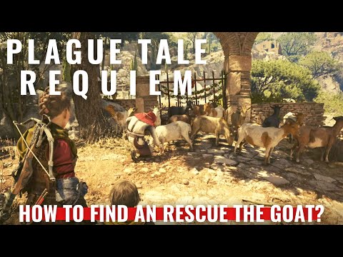 Plague Tale Requiem