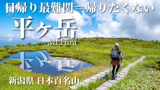 日根對山 セーフティーシューズ 安全靴 富士手袋 ルート66 外付け先芯