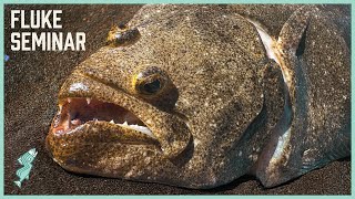 Beginner’s Guide to Catching Fluke from the Surf | Fishing Seminar