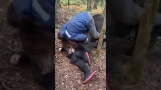 Chiar Si In Joaca Ursu Pare Ca Se Lupta Serios Cu Cei 2 Oameni