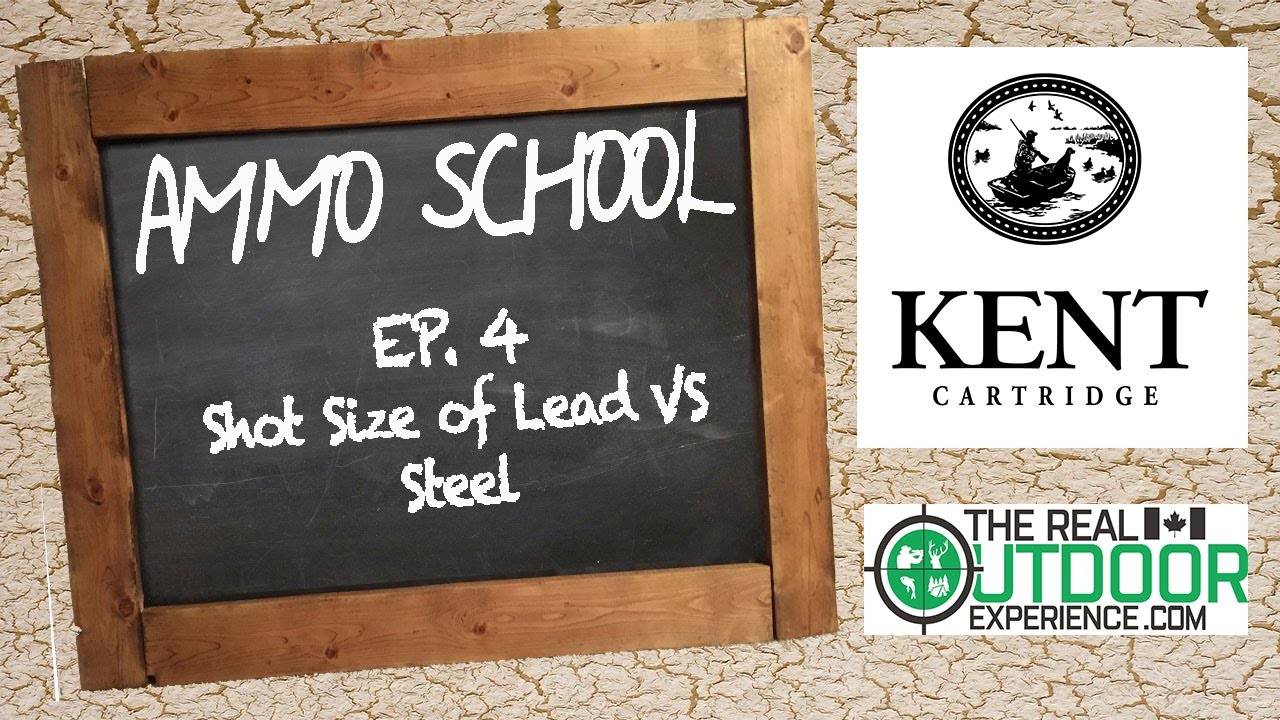 Ammo School EP4 Shot Size of Lead VS Steel YouTube