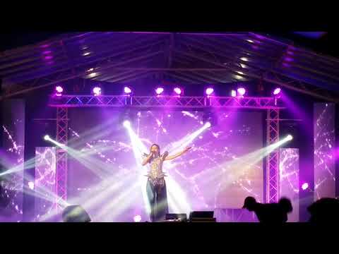 Astro之星(王琪惠) 《 我是一只小小鸟 》