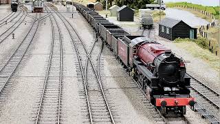 NEW Rapido Trains S160 in action!