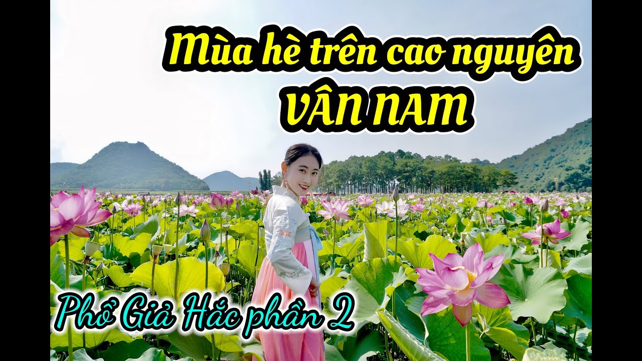 DU LỊCH TRUNG QUỐC: Đầu hè trên cao nguyên Vân Nam (PHỔ GIẢ HẮC phần 2) [4K]