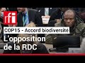 COP15 : pourquoi la RDC a refusé l