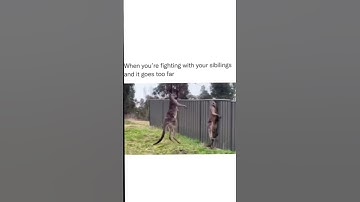 when you