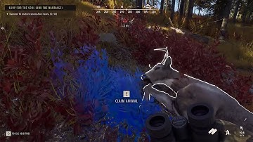 Way of The Hunter - Ranger Mode Walkthrough