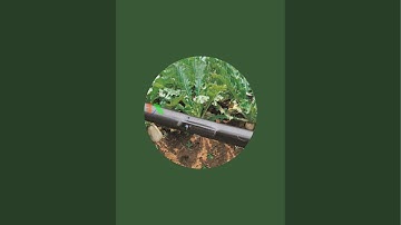 Nông cụ nông nghiệp Tháp Xanh, Công nghệ nông nghiệp, Thế giới Vật tư Máy móc