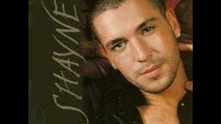 shayne ward - no you hang up