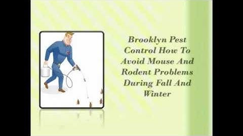 Brooklyn Pest Control
