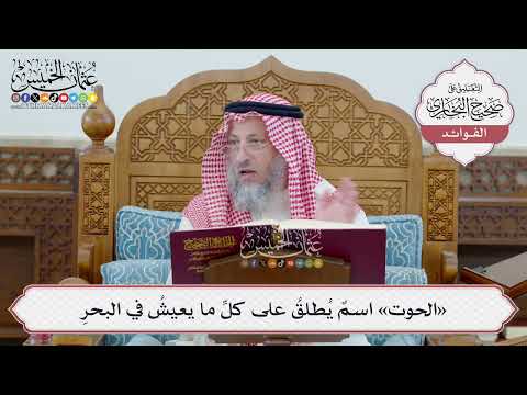 [47] «الحوت» اسمٌ يُطلقُ على كلِّ ما يعيشُ في البحرِ - عثمان الخميس