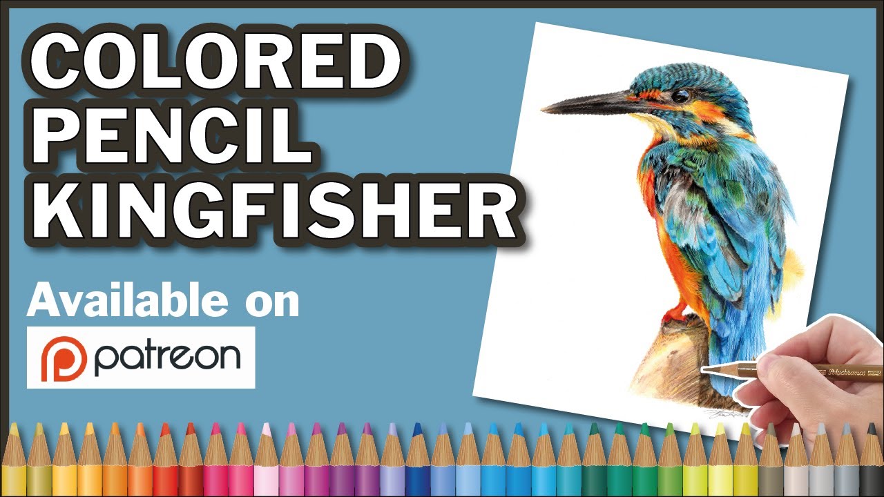 faber castell consultancy Kingfisher Coloured, Colored pencil drawing