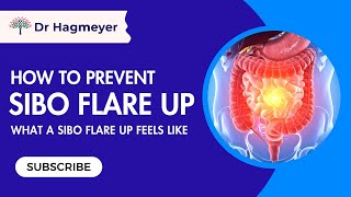 How To Stop A SIBO Flare-up Right Now. Everything You Need to Know