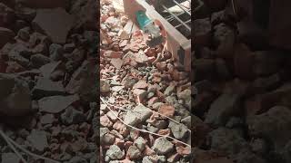#trending#shortsfeed#shortvideo#shorts#viralvideo#construction#civilwork#civilengineering#foryou#fyp