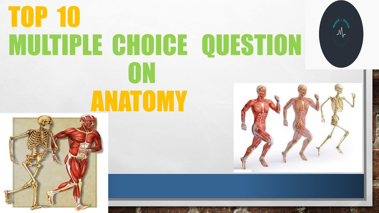 MCQ ON ANATOMY